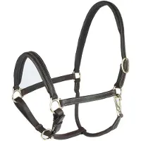 Hankkija.fi Largo Leren Halster, Dark Brown, Pony
