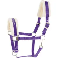 Hankkija.fi Halster voor paarden Howard