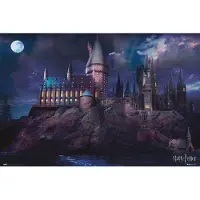 Merkloos Poster Harry Potter Hogwarts 91,5x61cm