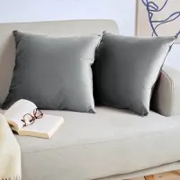 Blumtal Set van 2 Kussenslopen - Velvet - 40 x 60 cm - Donkergrijs - Verborgen Ritssluiting - Kussenhoes voor sierkussens