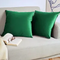Blumtal Set van 2 Kussenslopen - Velvet - 45 x 45 cm - Botanisch Groen - Verborgen Ritssluiting - Kussenhoes voor sierkussens
