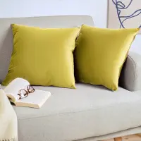 Blumtal Set van 2 Kussenslopen - Velvet - 40 x 60 cm - Olijfolie - Verborgen Ritssluiting - Kussenhoes voor sierkussens