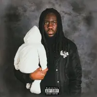 Coast2Coast Cedje - Platinum In The Streets (CD)