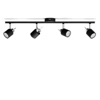 Philips Opbouwspot Meranti Zwart 4xgu10