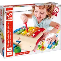Hape Xylofoon S Sorteerder Xylofoon Xylofoon