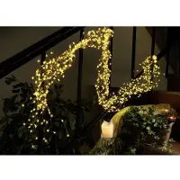 Konstsmide Draadverlichting - led kerstverlichting binnen - 480 lampjes - 2 meter