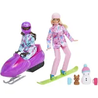 Barbie Winter Friends