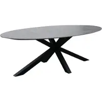 AVH-Collectie Puccini dining tuintafel 220x120 cm ovaal keramisch blad