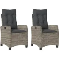 vidaXL Tuinstoelen 2 st verstelbaar met kussens poly rattan grijs