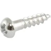 AllParts GS3376010 Chroom Kleine Stemschroeven - 16 Stuks