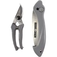 Talentools snoeischaar en snoeizaag