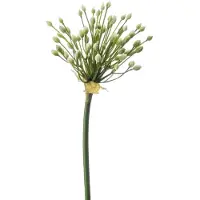 Emerald Allium/Sierui kunstbloem - losse steel - creme - 70 cm - Natuurlijke uitstraling - Kunstbloemen