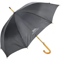 Trespass Baum Umbrella Zwart Man