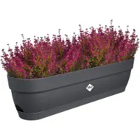 Elho Vibia Campana Balkonbak 70 - Plantenbak voor Balkon - Ø 69.0 x H 17.0 cm - Antraciet