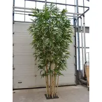 Maxifleur Kunstplanten Bamboe deluxe kunstboom op plaat 400cm