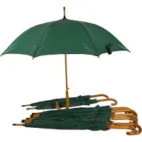 Discountershop Paraplu 10 stuks - Set van 10 Automatische Groene Paraplu's - 102cm Diameter voor Volwassenen – Unisex met Houten Handvat