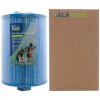 Alapure Spa Waterfilter voor Magnum WY45 Anti-Bacterieel