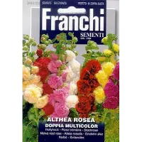 Franchi - Stokroos, Althea Rossa Doppia Multicolor 301/20
