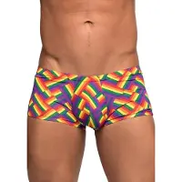 Male Power - Pride Short