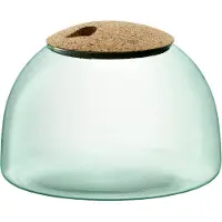 LSA International Planten Terrarium L.S.A. Canopy 16,5cm