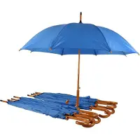 Discountershop Paraplu 9 stuks - Set van 9 Automatische en Windproof Paraplu's voor Volwassenen | 102cm Diameter met Houten Handvat | Sky Blauw - Unisex