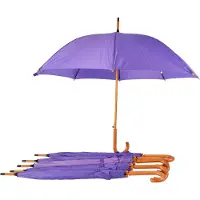 Discountershop Paraplu 6 stuks - Set van 6 Paarse Paraplu's - Automatisch Uitklapbaar - Windproof - Waterdicht - Ø 98 cm Paraplu met Houten Handvat