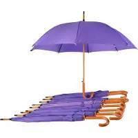 Discountershop Paraplu 10 stuks - Set van 10 Paarse Paraplu's - Automatisch Uitklapbaar - Ø 98 cm Paraplu met Houten Handvat - Windproof - Waterdicht