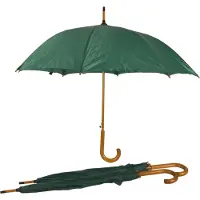 Discountershop Paraplu 3 stuks - Set van 3 Groene Automatische Opvouwbare Paraplu's voor Volwassenen | Sterk, Stijlvol en Waterdicht| 102cm Diameter - Met Houten Stok en Handvat