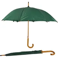 Discountershop Paraplu 2 stuks groen Prachtige Groene Automatische Opvouwbare Paraplu's voor Volwassenen - Set van 2 - 102 cm Diameter