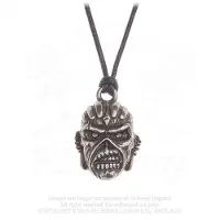 Iron Maiden Halsketting - Book Of Souls - voor Mannen - zilverkleurig - Maat Standard