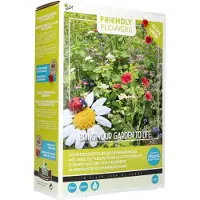 Intratuin Buzzy Friendly Flowers Mix Lieveheersbeestjes 50 M2