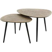 AnLi Style Salontafel set/2 driehoekig metallic / brons antiek (Brons, 1x80x43x59cm)