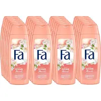 Fa Douchegel - Divine Moments - Voordeelverpakking 24 x 250 ml