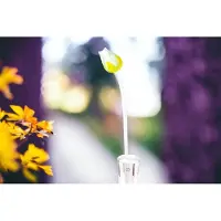 Loranto Tulp Geel Wit - Glazen Tulpen - Bloemen - Tulpen van Glas - Glazen Bloemen