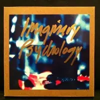Import IMAGINARY PSYCHOLOGY/LP WHITE