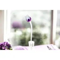 Loranto Tulp Paars Wit - Glazen Tulpen - Bloemen - Tulpen van Glas - Roos van Glas - Glazen Bloemen