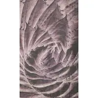 Dimex Fotobehang - Cactus Abstract 150x250cm - Vliesbehang