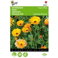 Buzzy 5 stuks Calendula officinalis Touch of Red mixed Tuinplus