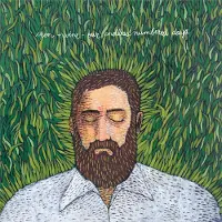 Konkurrent Iron & Wine - Our Endless Numbered Days (2 LP) (Deluxe Edition)