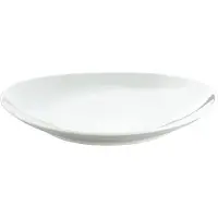 Pillivuyt Ovaal vleesschotel klein 23 cm Wit