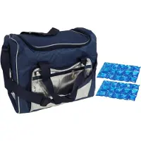 Gerimport Grote koeltas schoudertas blauw/zilver met 2 stuks flexibele koelelementen 21 liter - Koeltas