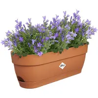 Elho Vibia campana balkonbak 50cm terra - elho