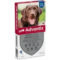 Advantix 400/2000 Spot-On Solution voor Honden 25 - 40 kg - Dubbelpak: 2 x 6 Pipetten - BE