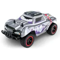 Ninco Bulldog+ Remote Control Car Zilver