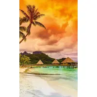 Blokker Dimex Polynesia Vlies Fotobehang 150x250cm 2-banen