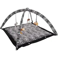 Flamingo Zerba - Speelgoed Katten - Ps Zerba Speelmat 54,5x54,5x33cm - 1st - 137439 - 1st