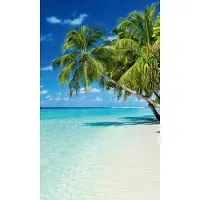 Blokker Dimex Paradise Beach Vlies Fotobehang 150x250cm 2-banen