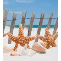 Dimex Fotobehang - Starfish 225x250cm - Vliesbehang