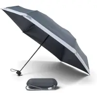 Pantone Paraplu Design Pantone Compact Cool Gray