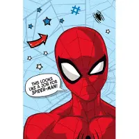 Marvel Spider-Man Fleeceplaid, Web - 100 x 150 cm - Polyester